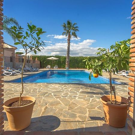 Villa Conmigo Bed & Breakfast Alhaurín de la Torre Zewnętrze zdjęcie